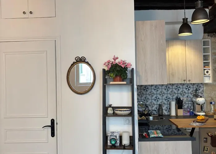 Elegant Flat In Marais Appartement *